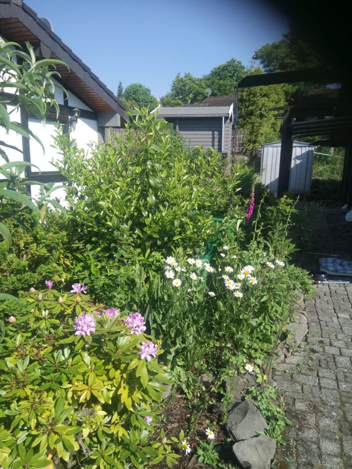Haus Am Listersee Meinerzhagen Exterior foto